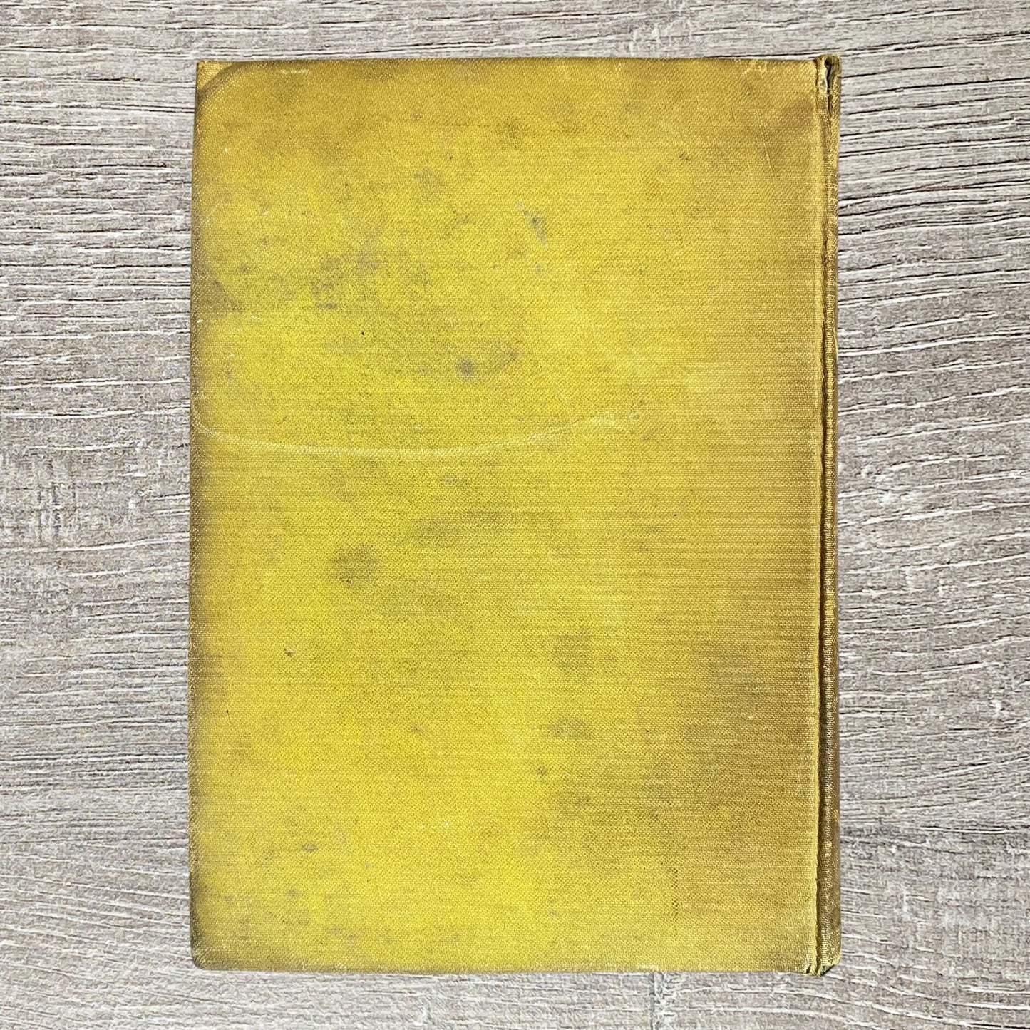 The Splendour Stays By Marguerite Allis Cassell 1949 Hardcover Book