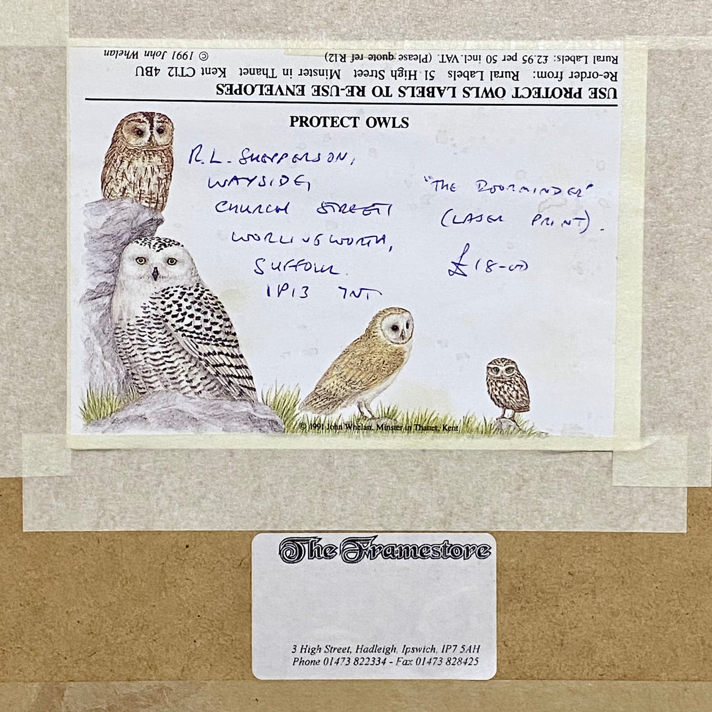 Vintage Robin Bird On Door Handle Laser Print Plate Signed R L Shepperson Framed