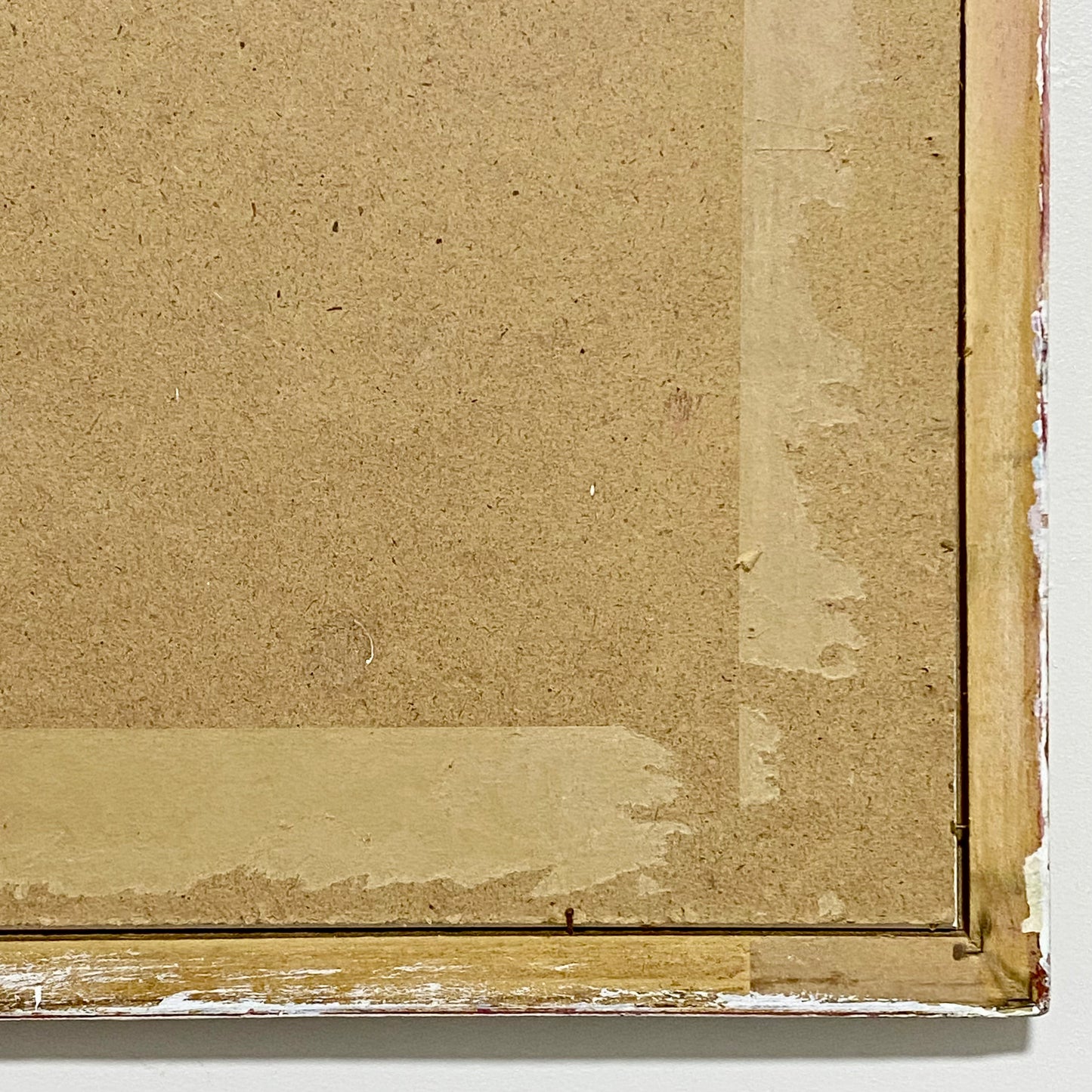 Vintage Camellia Reticulata Robert Fortune Botanical Floral Print Signed Framed