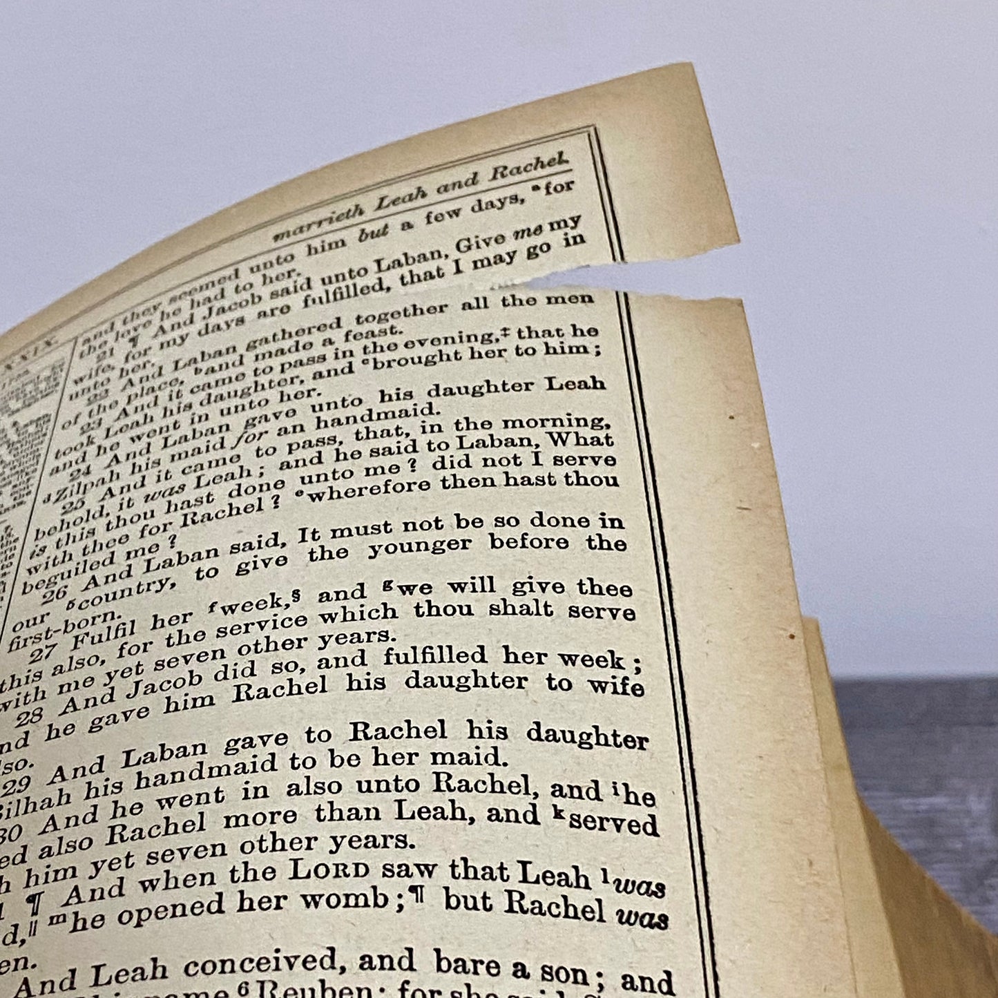 Antique Giant The Holy Bible Edited By Rev. John Eadie Illustrated Circa 1880s