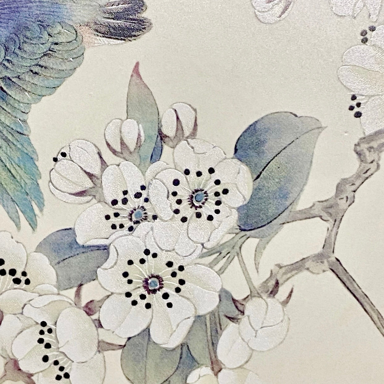 Beijing 2008 Olympics Collector Plate Presented By Committee For 29th Games Rare