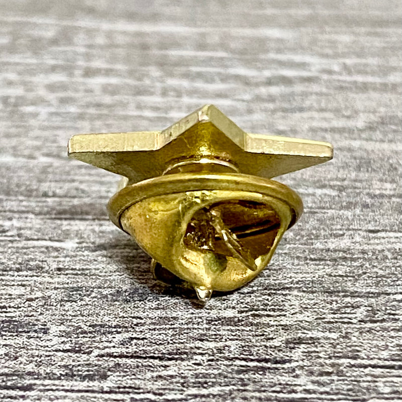 Golden Star Metal Gold Tone 2019 Lapel Pin Badge