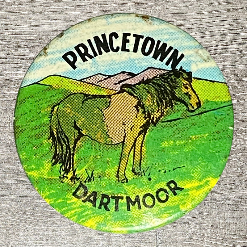 Vintage Advertising Princetown Dartmoor National Park 1980s Button Pin Badge
