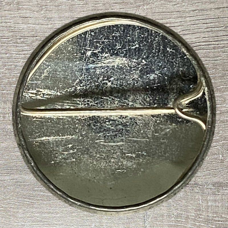 Vintage Advertising Princetown Dartmoor National Park 1980s Button Pin Badge