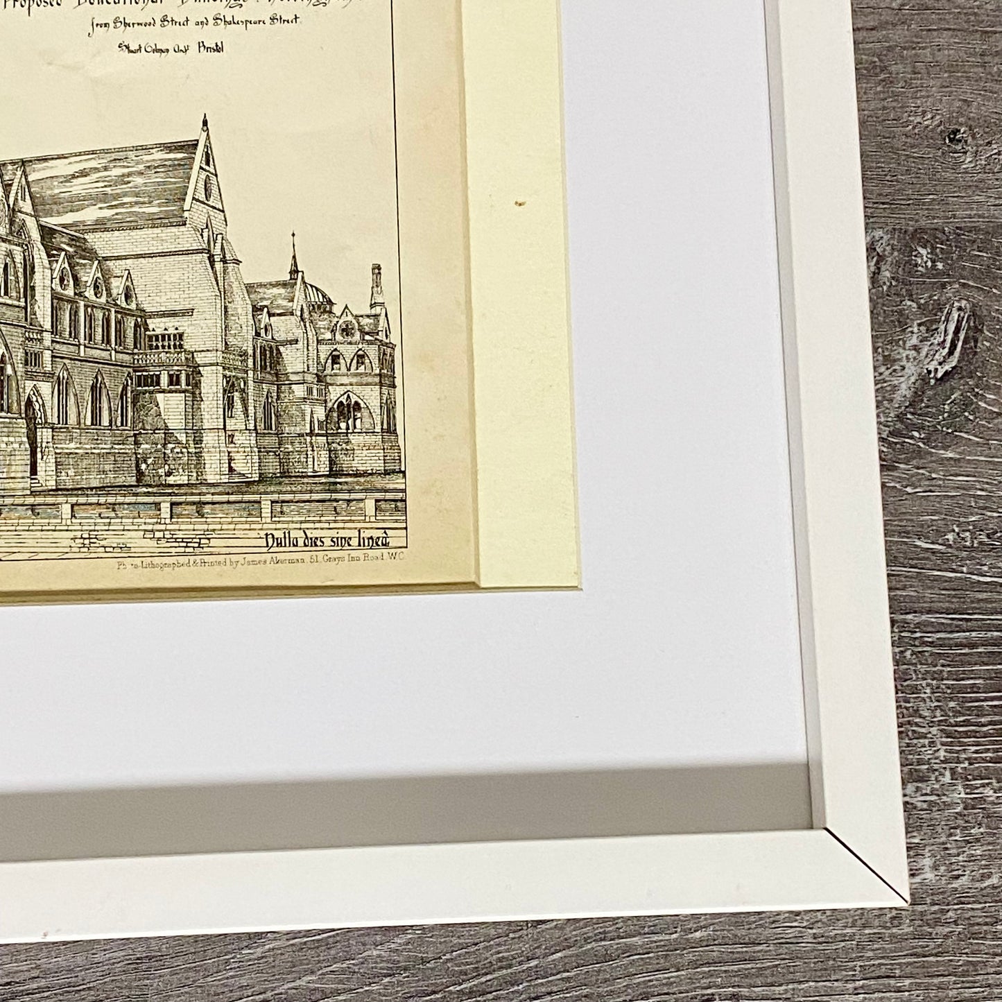 Antique The Building News 1877 Architectural Drawing Education Nottingham Framed