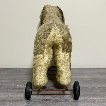 Vintage Pedigree Soft Toys 1940s/50's Mohair Dog Push Along Walker Toy Prop Rare