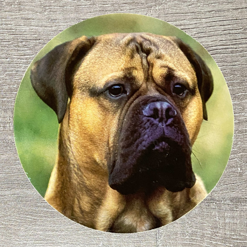 Vintage Round Collectible Bullmastiff Dog Tea Coffee Drinking Drinks Coaster Mat