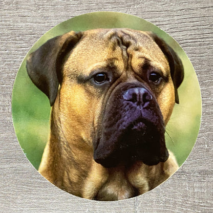 Vintage Round Collectible Bullmastiff Dog Tea Coffee Drinking Drinks Coaster Mat