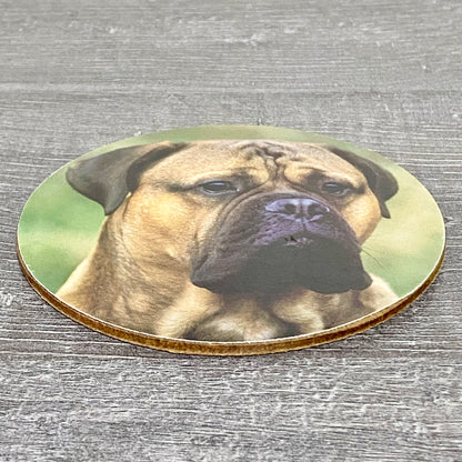 Vintage Round Collectible Bullmastiff Dog Tea Coffee Drinking Drinks Coaster Mat