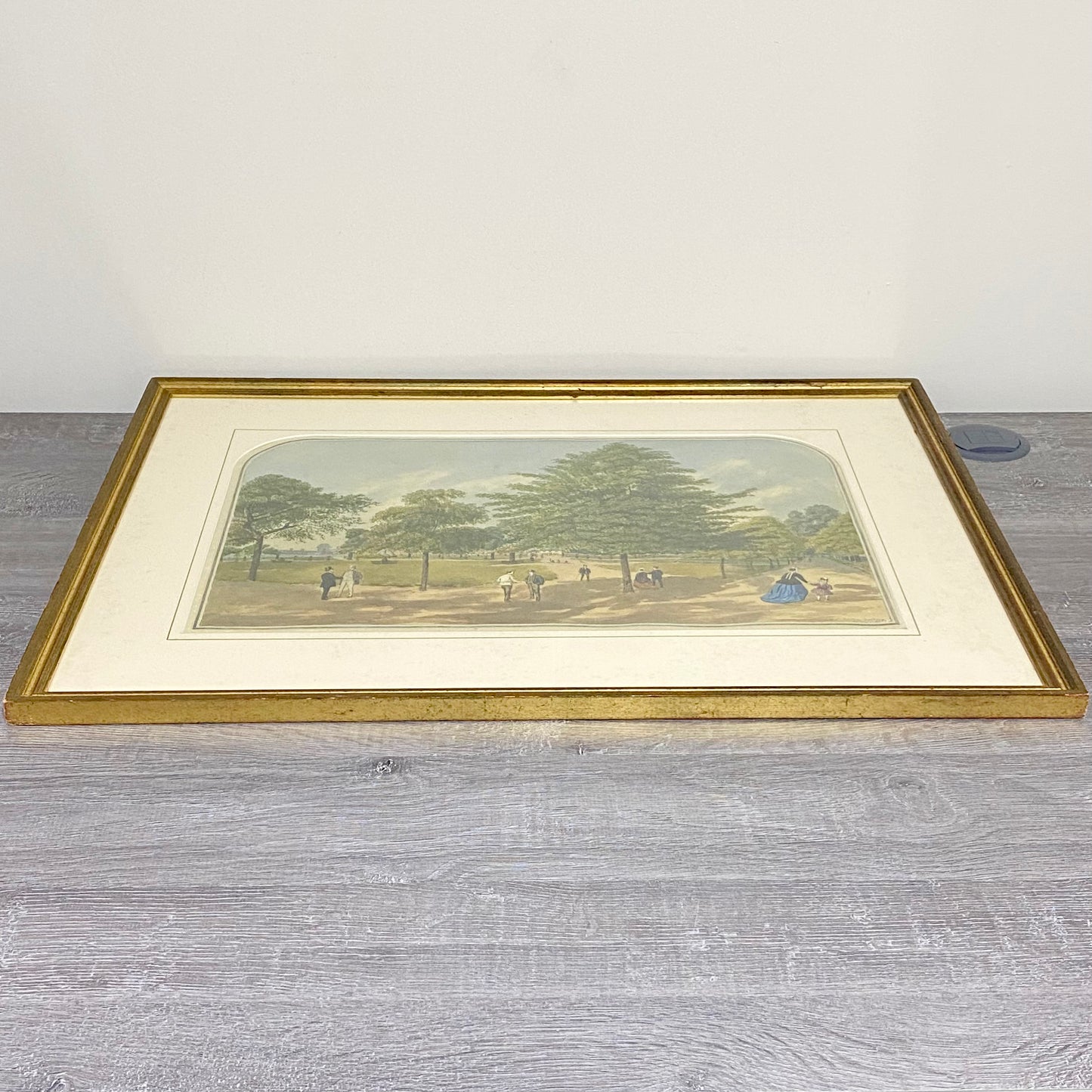 Antique A View Of Mall St. James's Park Painting Signed William Frederick Austin