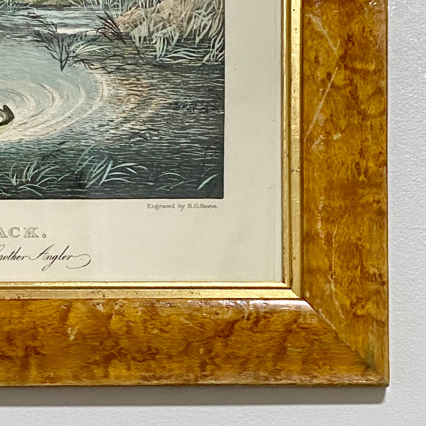 19th Century Live Bait Fishing For Jack Art Print Engraved R G Reeves Framed