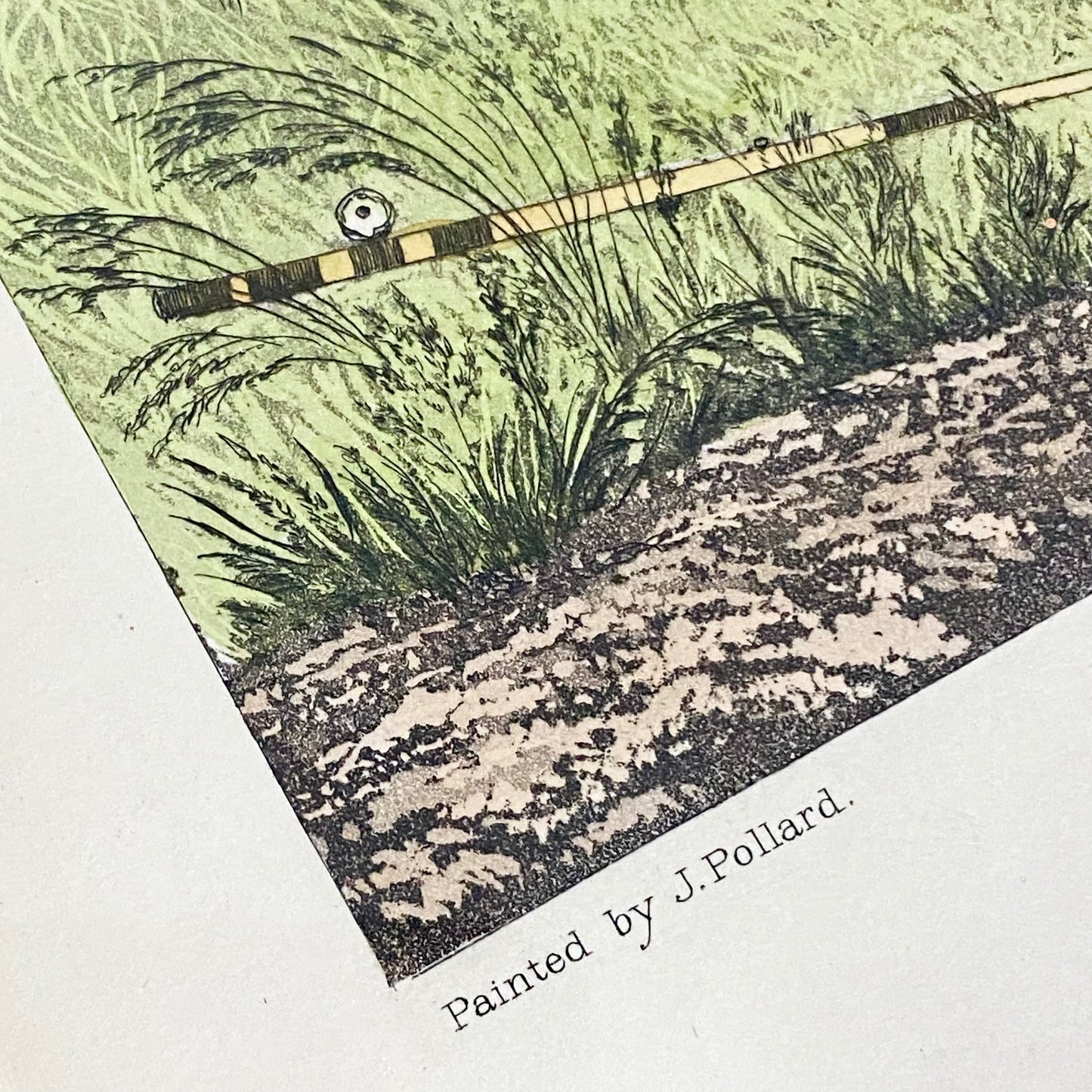 19th Century Live Bait Fishing For Jack Art Print Engraved R G Reeves Framed