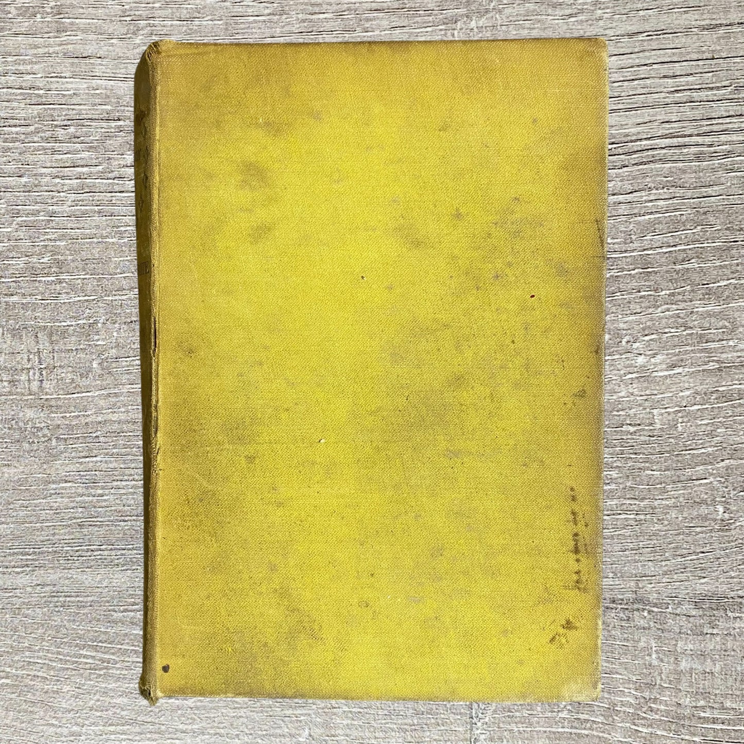 The Splendour Stays By Marguerite Allis Cassell 1949 Hardcover Book