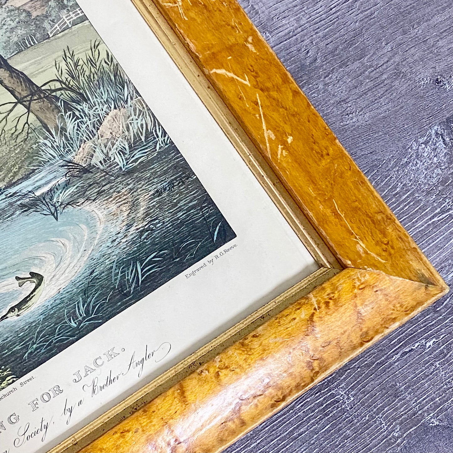 19th Century Live Bait Fishing For Jack Art Print Engraved R G Reeves Framed