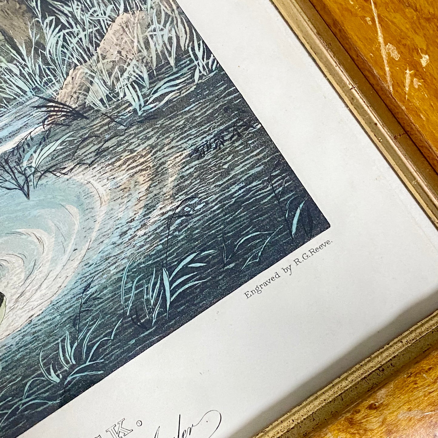 19th Century Live Bait Fishing For Jack Art Print Engraved R G Reeves Framed