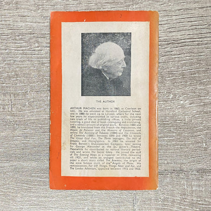 Vintage Holy Terrors By Arthur Machen No. 526 Penguin Books 1946 Paperback Book
