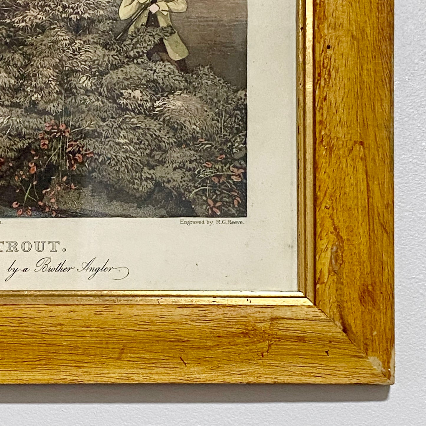 19th Century Fly Fishing For Trout Art Print Engraved R G Reeves Framed & Glazed