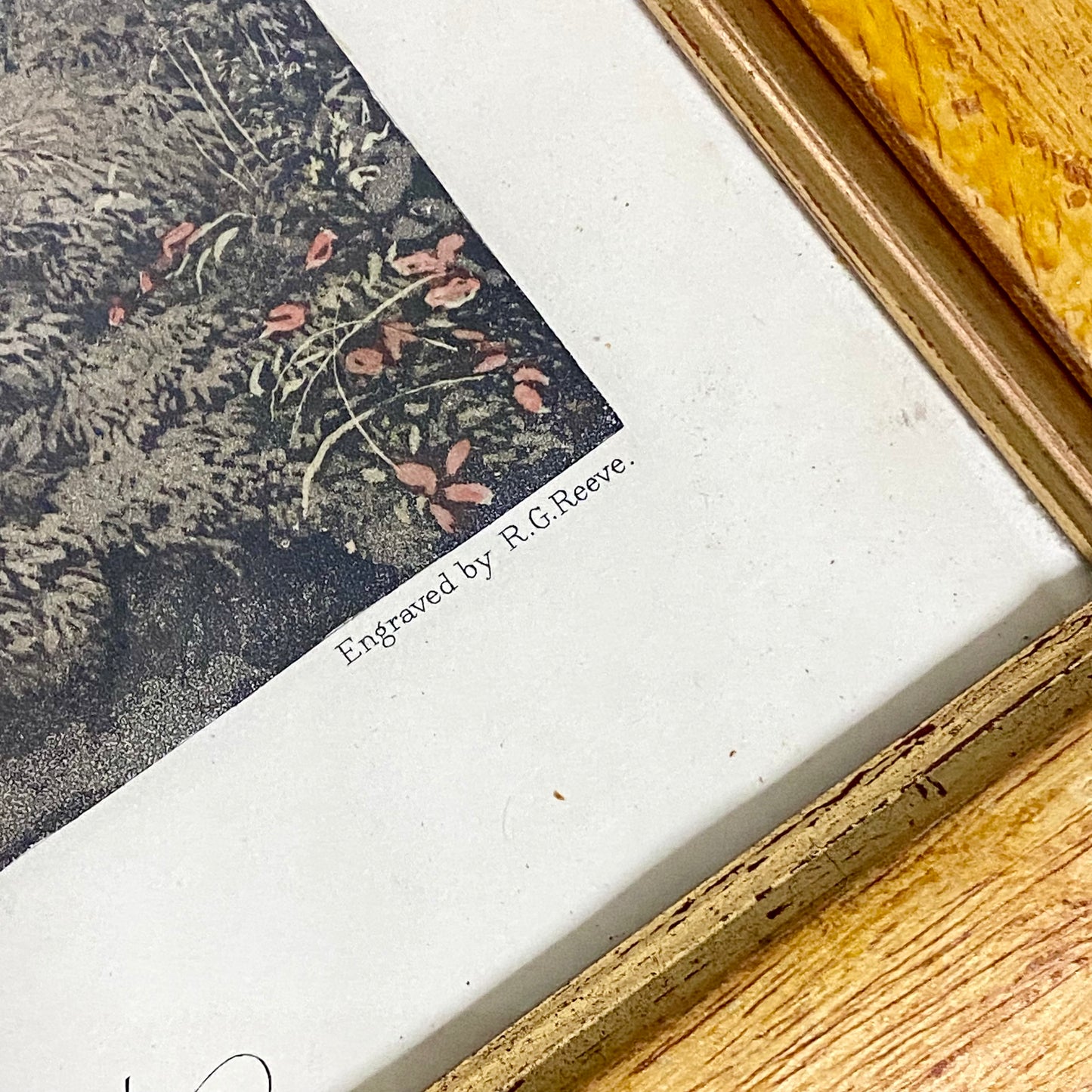 19th Century Fly Fishing For Trout Art Print Engraved R G Reeves Framed & Glazed