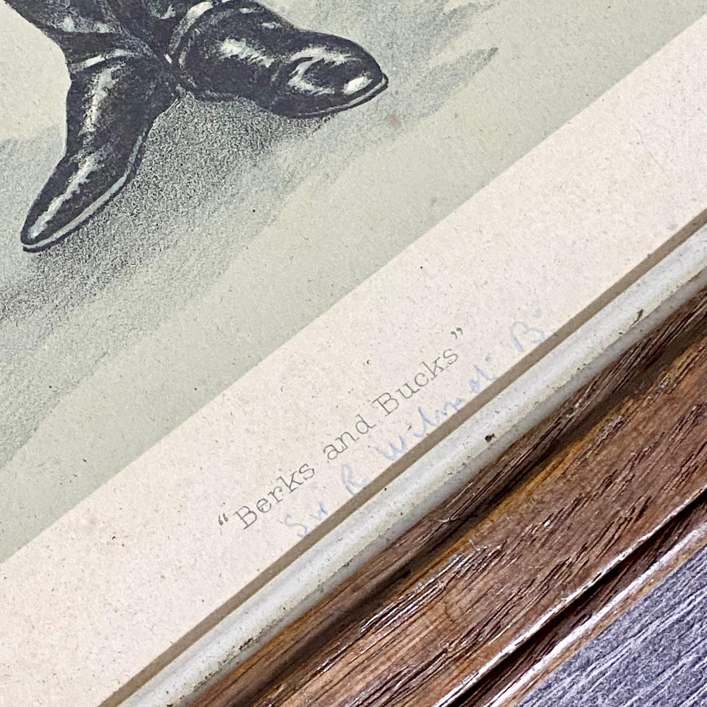 Vintage Sir Rodney Wilmot Berks And Bucks Vanity Fair Fox Hunting Print Framed