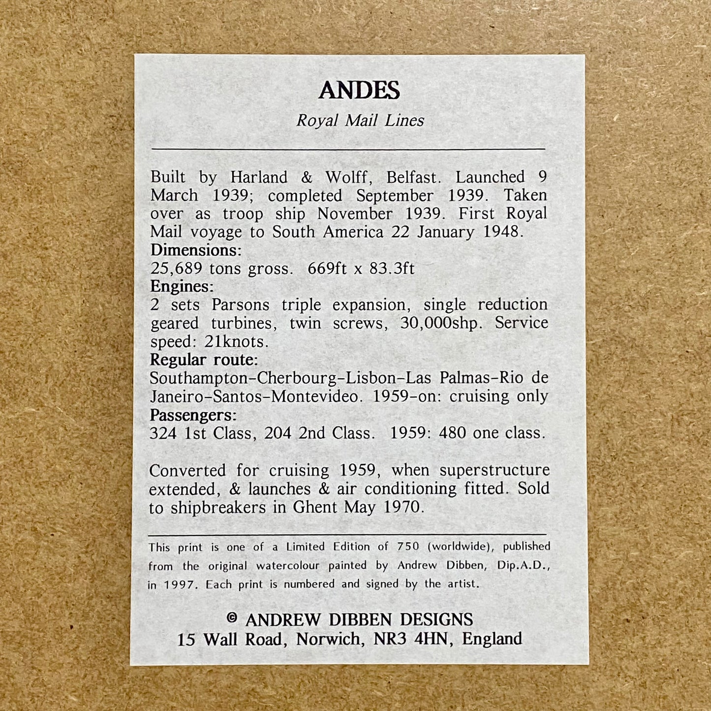 Vintage Royal Mail Lines SS Andes Boat Art Print Signed By Andrew Dibben Framed