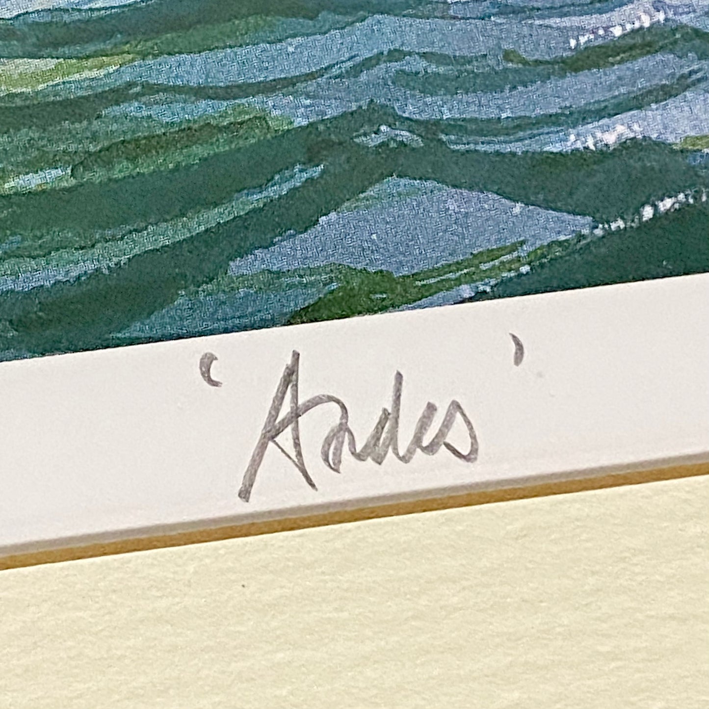 Vintage Royal Mail Lines SS Andes Boat Art Print Signed By Andrew Dibben Framed