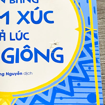 Cân Bằng Cảm Xúc Cả Lúc Bão Giông By Richard Nicholls Vietnamese 2017 Paperback