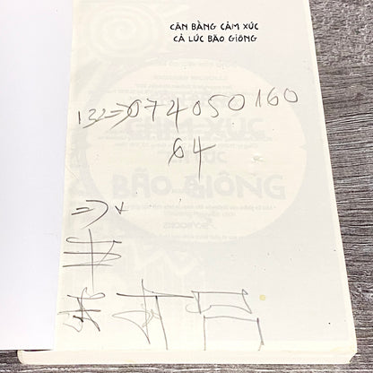 Cân Bằng Cảm Xúc Cả Lúc Bão Giông By Richard Nicholls Vietnamese 2017 Paperback