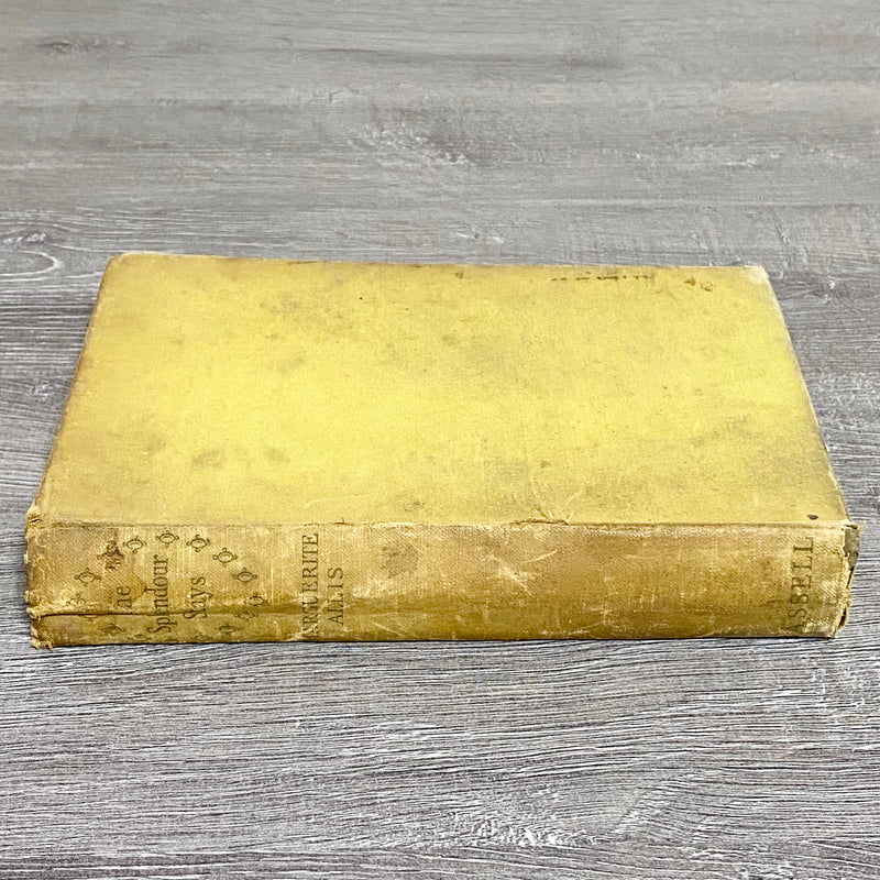 The Splendour Stays By Marguerite Allis Cassell 1949 Hardcover Book