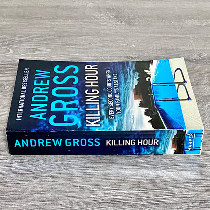 Killing Hour By Andrew Gross Thriller Novel 2012 Paperback Book