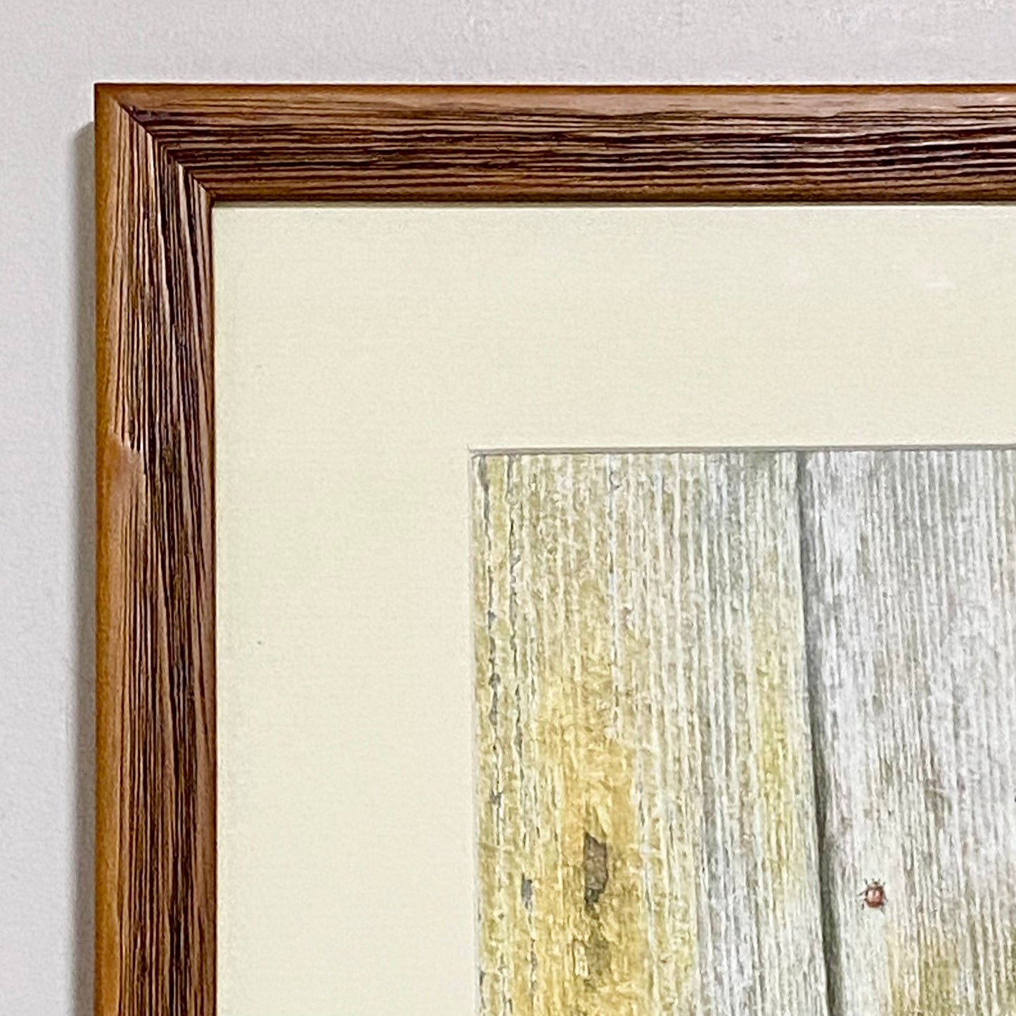 Vintage Robin Bird On Door Handle Laser Print Plate Signed R L Shepperson Framed