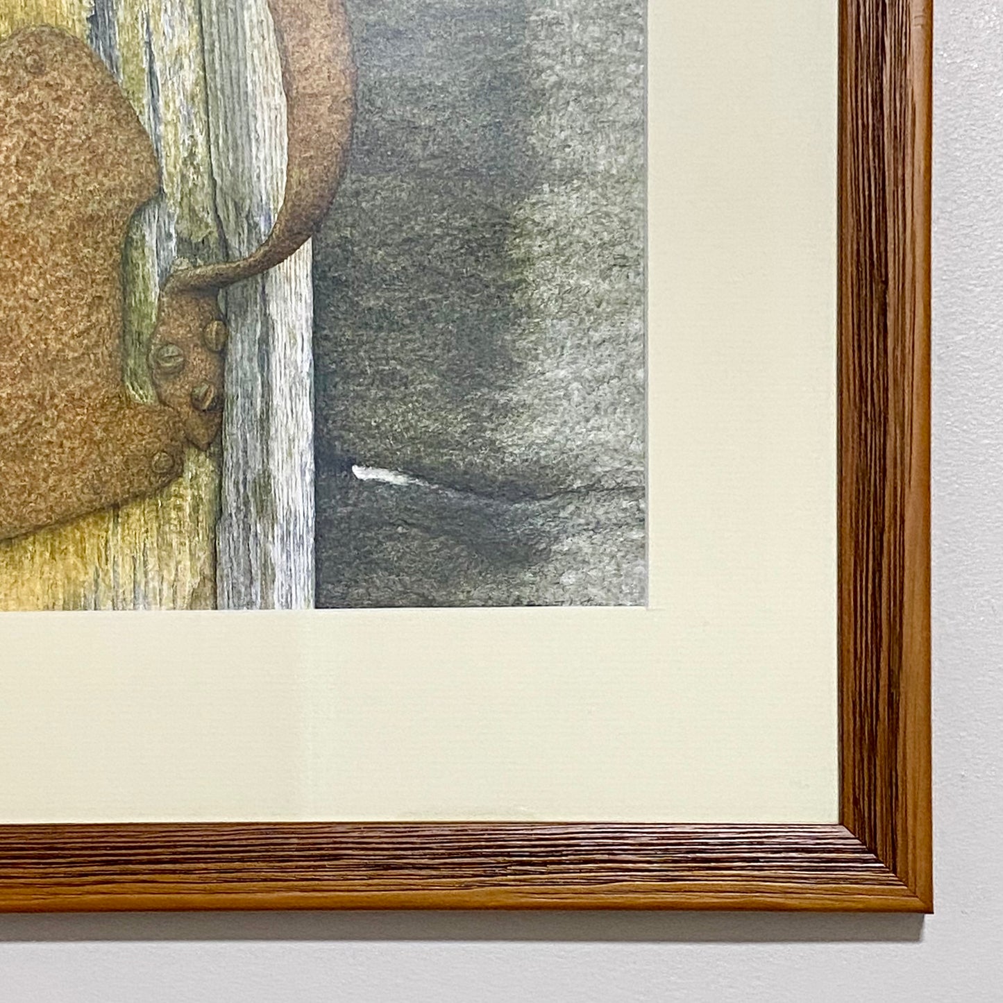 Vintage Robin Bird On Door Handle Laser Print Plate Signed R L Shepperson Framed