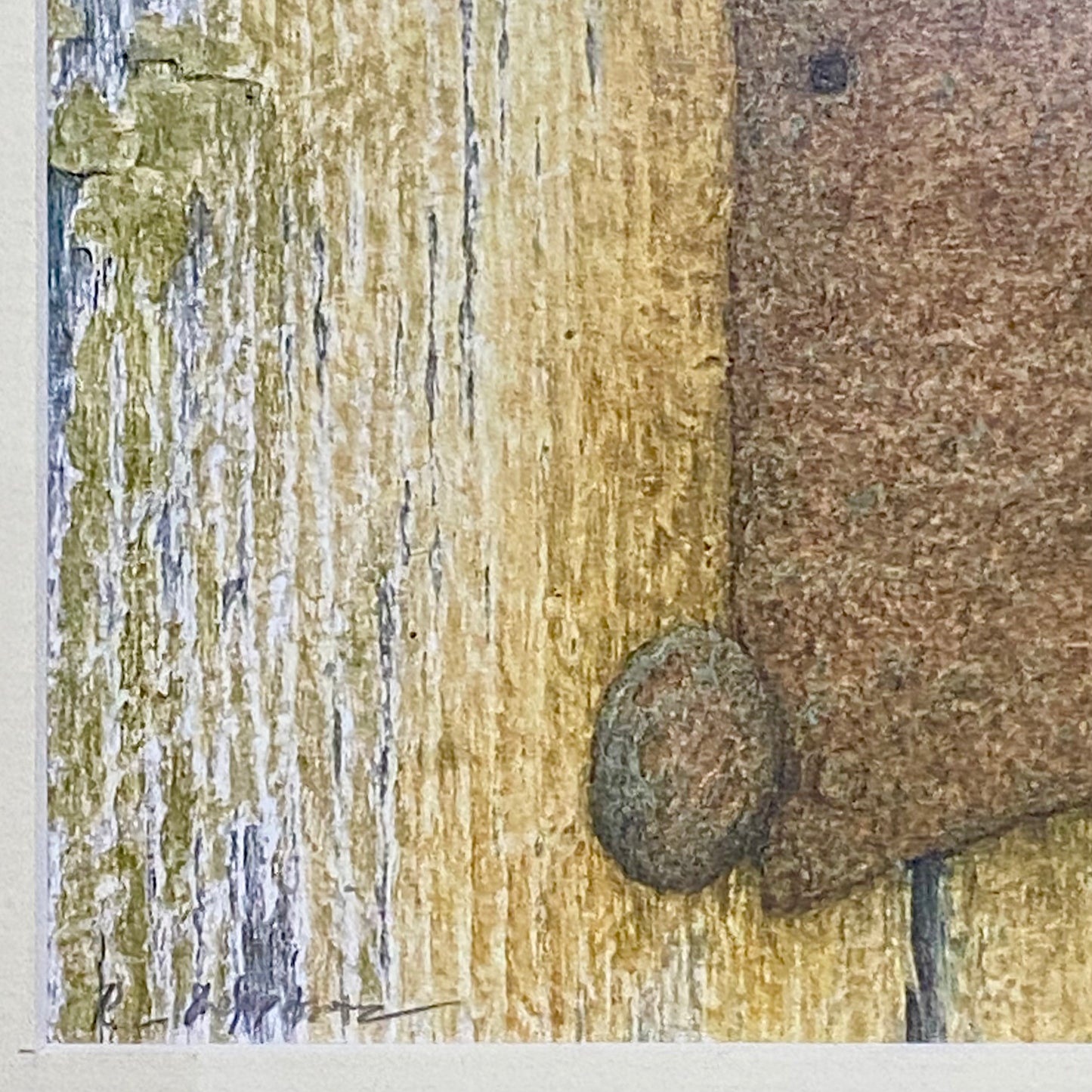 Vintage Robin Bird On Door Handle Laser Print Plate Signed R L Shepperson Framed