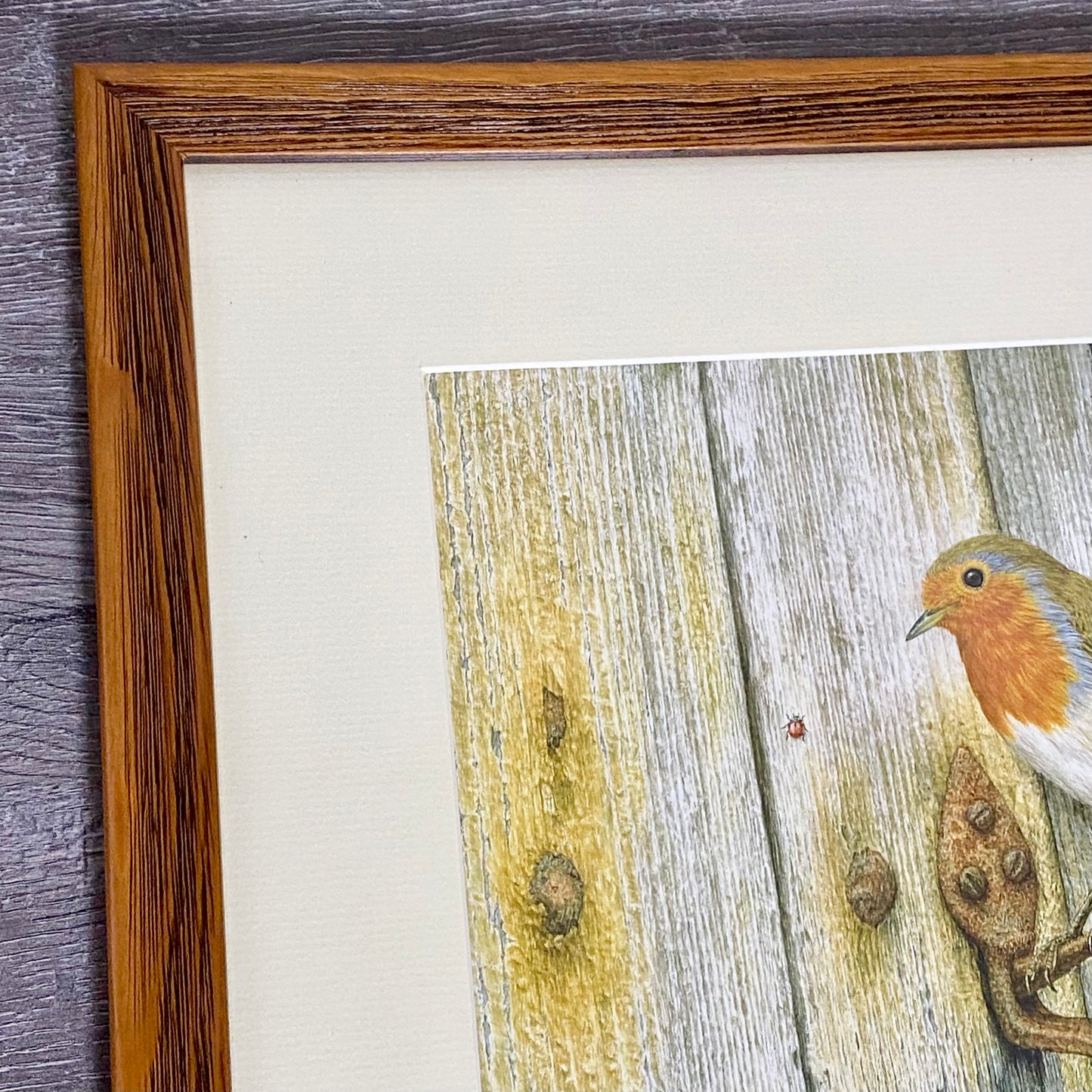 Vintage Robin Bird On Door Handle Laser Print Plate Signed R L Shepperson Framed