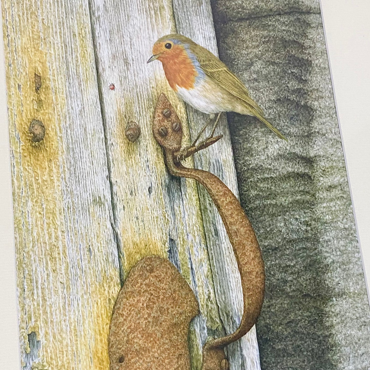 Vintage Robin Bird On Door Handle Laser Print Plate Signed R L Shepperson Framed