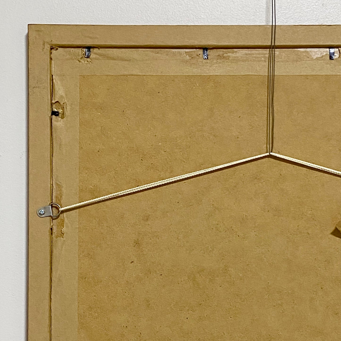 Vintage Robin Bird On Door Handle Laser Print Plate Signed R L Shepperson Framed