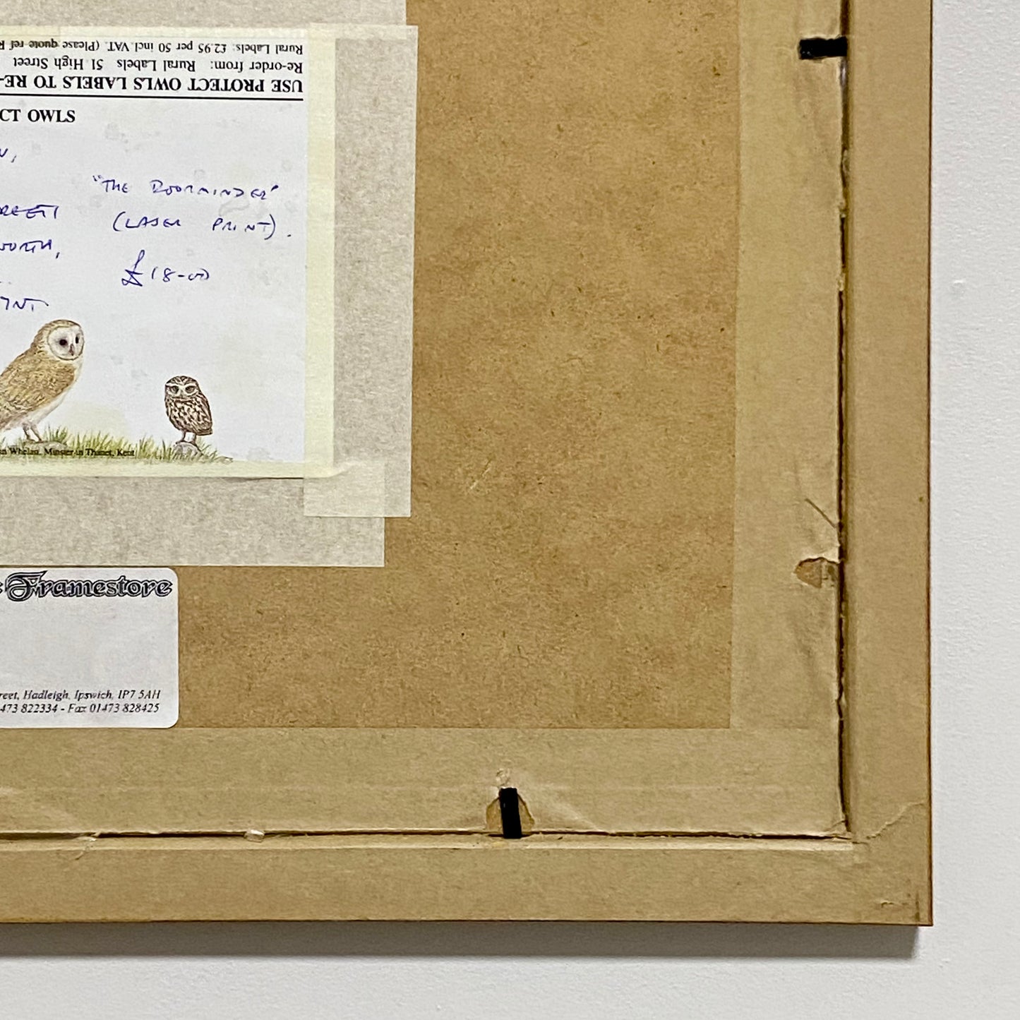 Vintage Robin Bird On Door Handle Laser Print Plate Signed R L Shepperson Framed