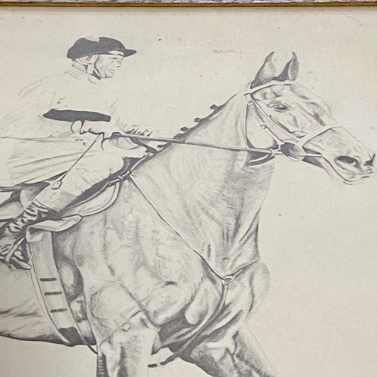 Vintage Horse Arkle Art Print Signed F Taylor 1981 Limited Ed No. 499/500 Rare