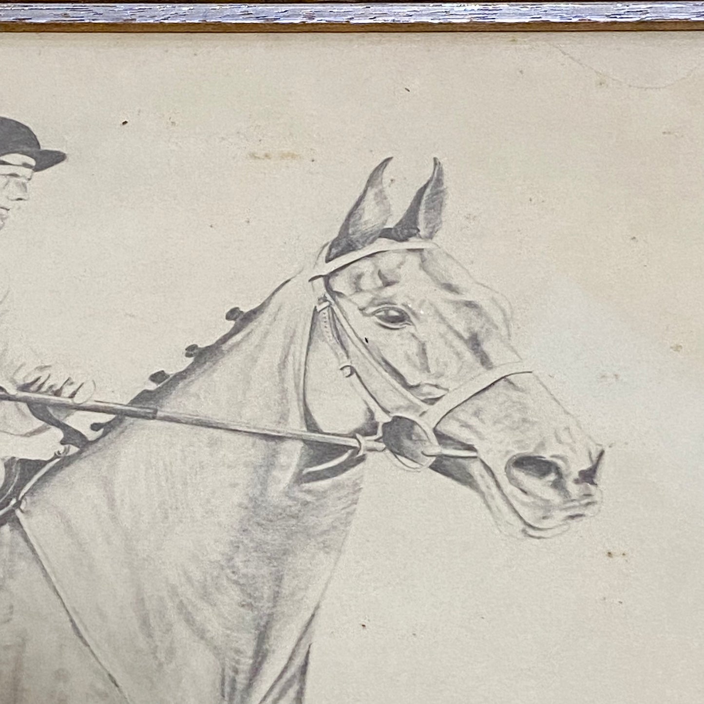 Vintage Horse Arkle Art Print Signed F Taylor 1981 Limited Ed No. 499/500 Rare