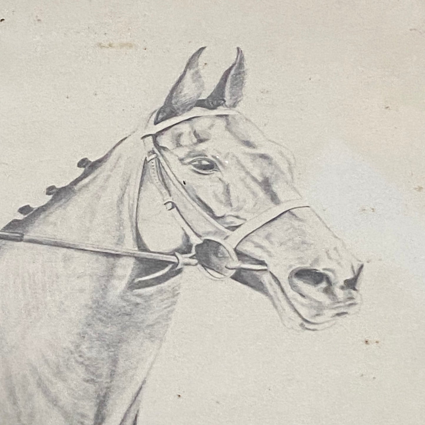 Vintage Horse Arkle Art Print Signed F Taylor 1981 Limited Ed No. 499/500 Rare