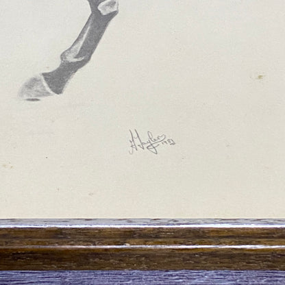 Vintage Horse Arkle Art Print Signed F Taylor 1981 Limited Ed No. 499/500 Rare