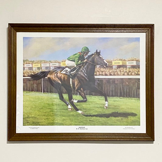 Vintage Shergar Race Horse & W. R. Swinburn Art Print Gillian E. Hoare Framed