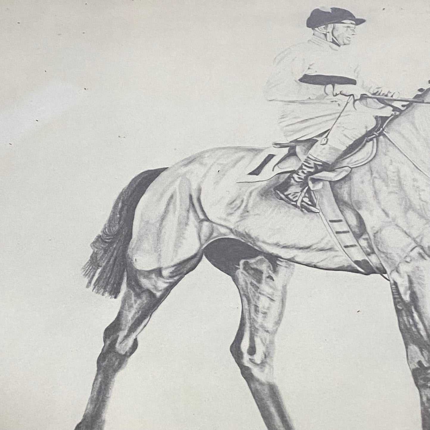 Vintage Horse Arkle Art Print Signed F Taylor 1981 Limited Ed No. 499/500 Rare