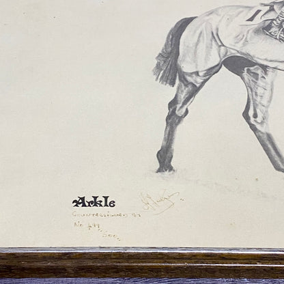 Vintage Horse Arkle Art Print Signed F Taylor 1981 Limited Ed No. 499/500 Rare
