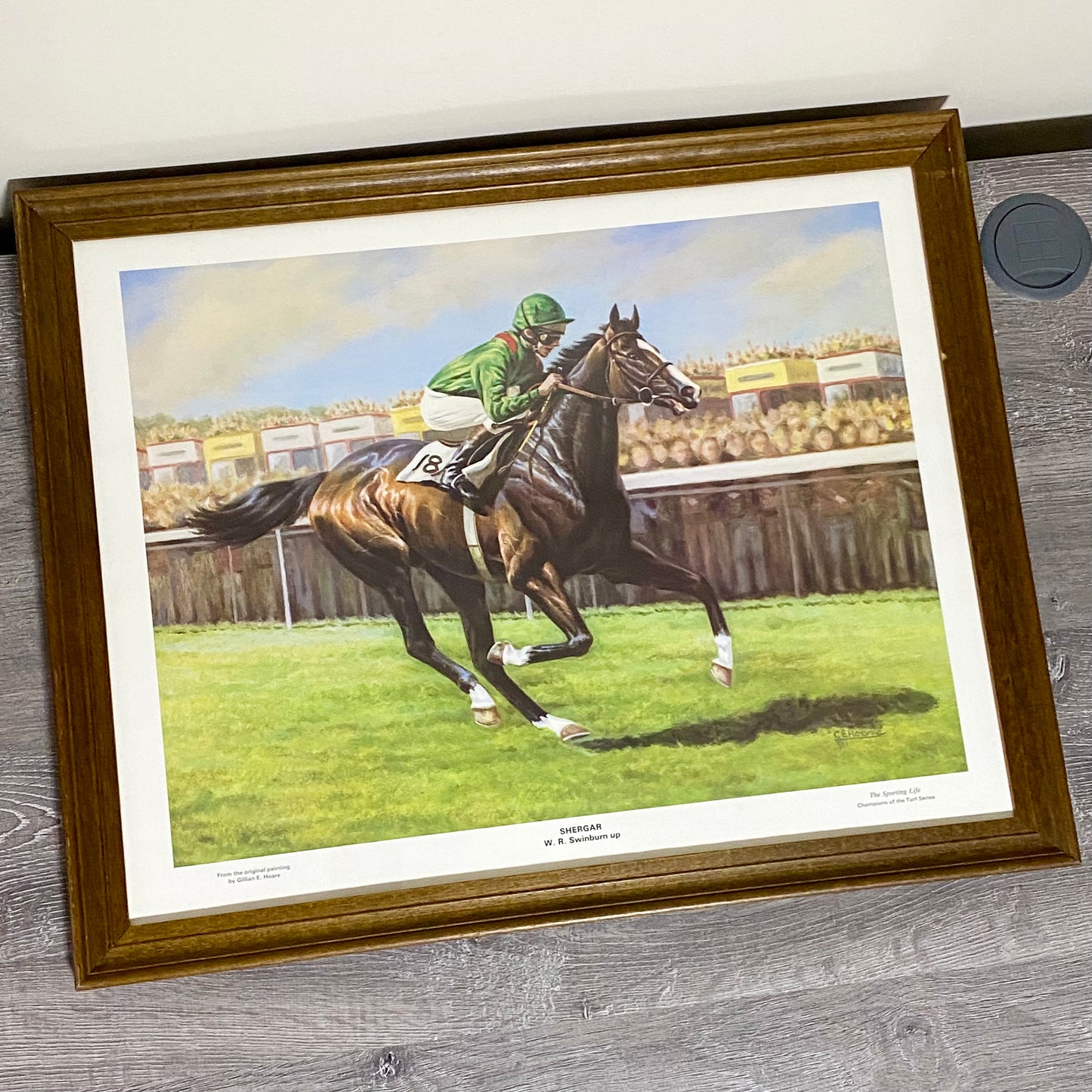 Vintage Shergar Race Horse & W. R. Swinburn Art Print Gillian E. Hoare Framed