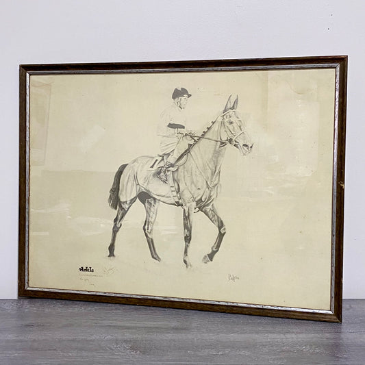 Vintage Horse Arkle Art Print Signed F Taylor 1981 Limited Ed No. 499/500 Rare