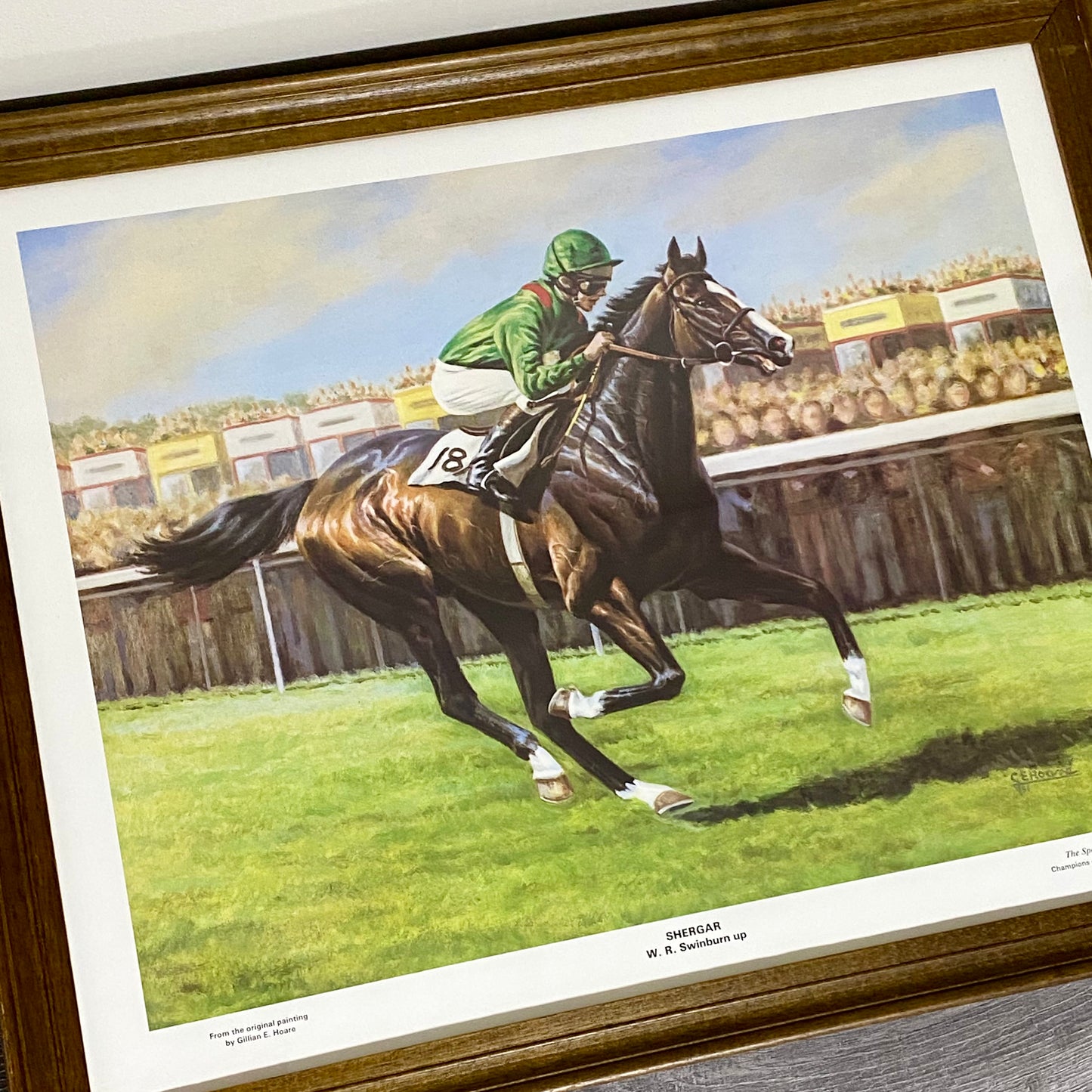 Vintage Shergar Race Horse & W. R. Swinburn Art Print Gillian E. Hoare Framed