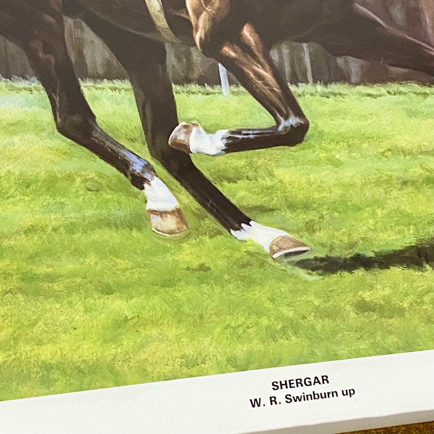 Vintage Shergar Race Horse & W. R. Swinburn Art Print Gillian E. Hoare Framed