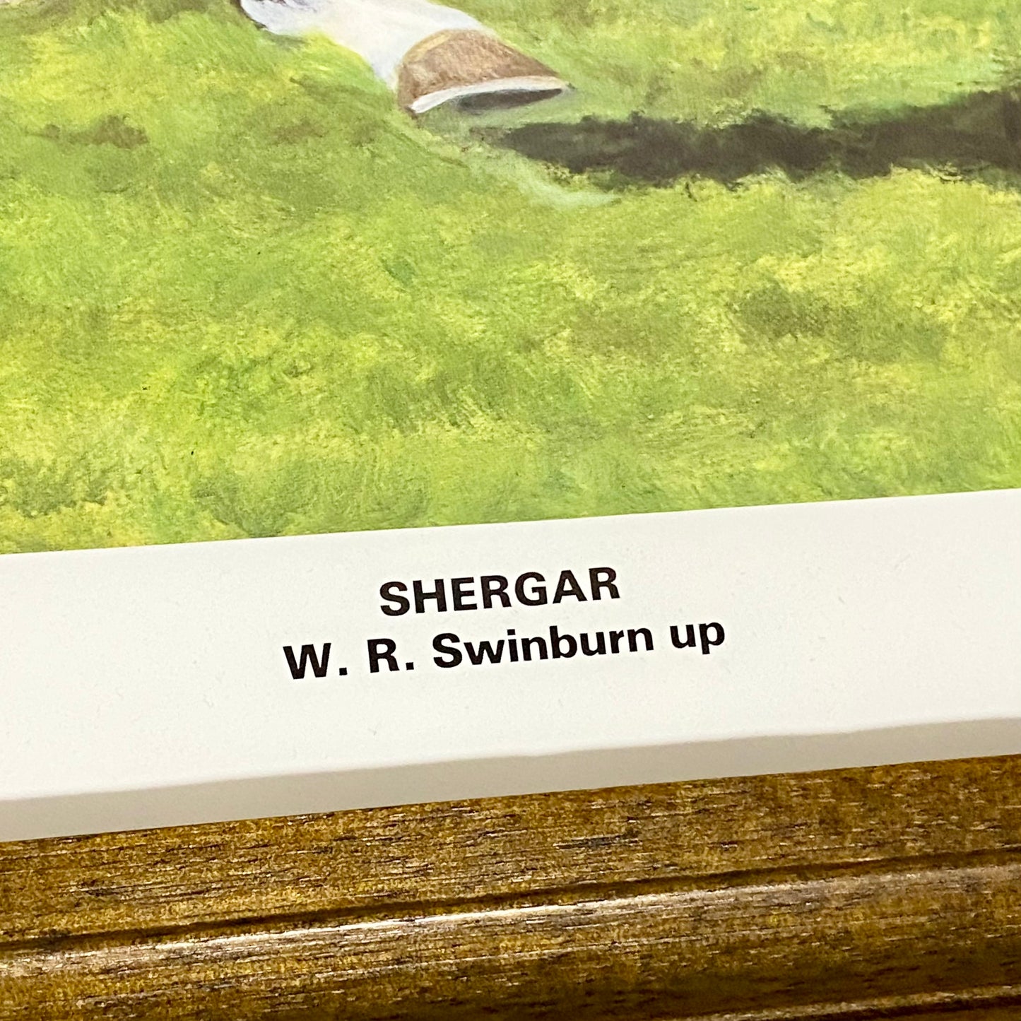 Vintage Shergar Race Horse & W. R. Swinburn Art Print Gillian E. Hoare Framed