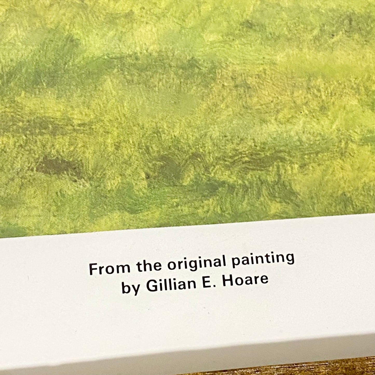 Vintage Shergar Race Horse & W. R. Swinburn Art Print Gillian E. Hoare Framed