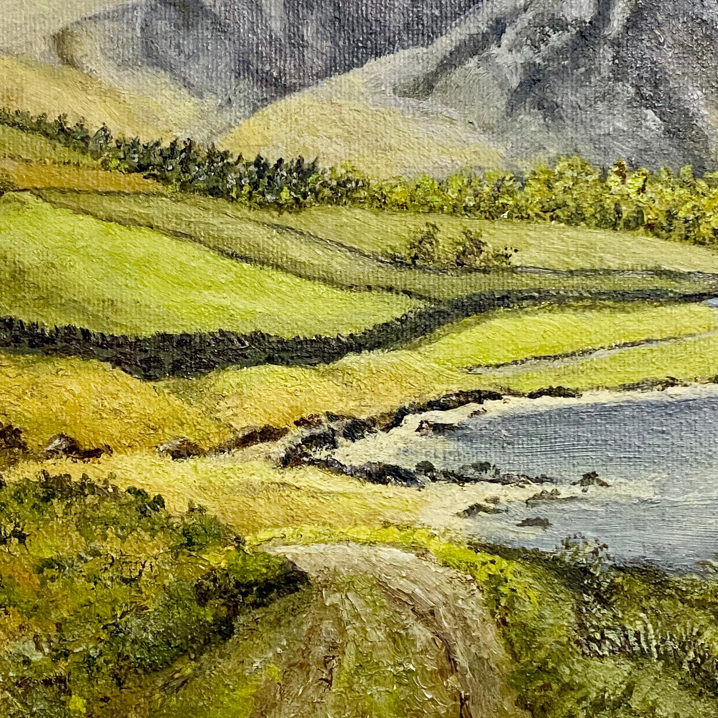 Vintage Lakeside Mountain Landscape Oil On Board Signed A Roodhouse 1972 Framed